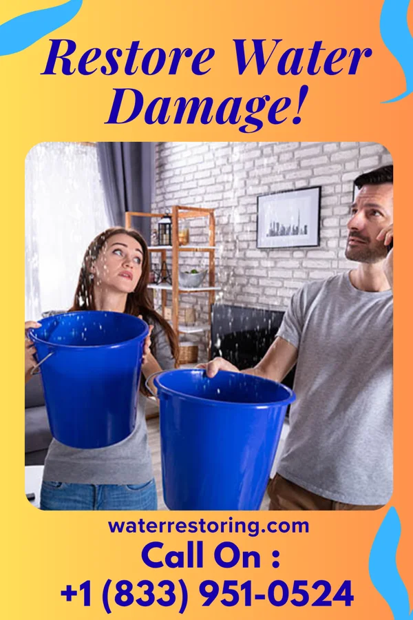 water restoration Direct Flood Cleanup Masters Bogart