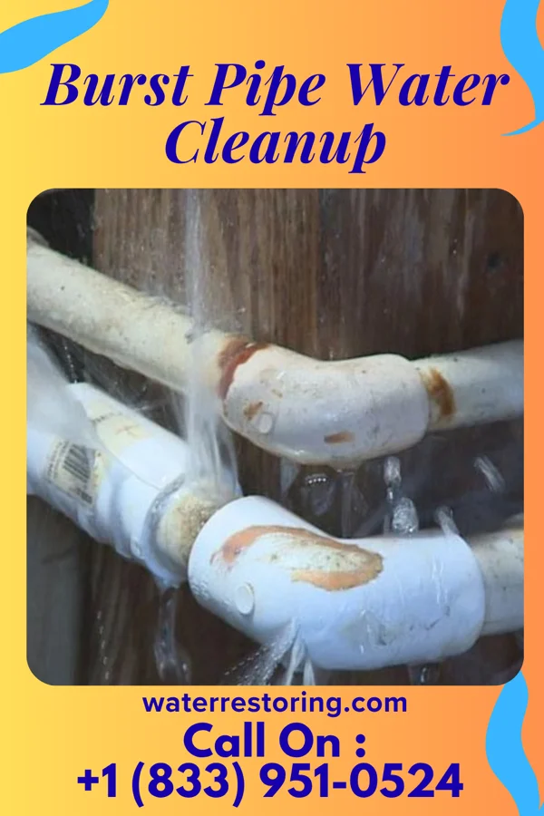 Burst Pipe Water Cleanup in Bogart, GA