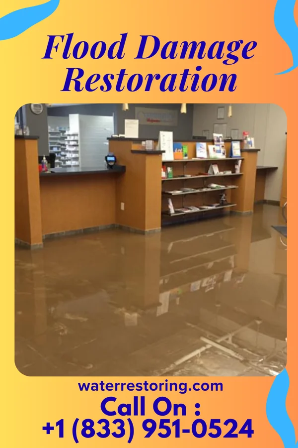 Flood Damage Restoration in Bogart, GA