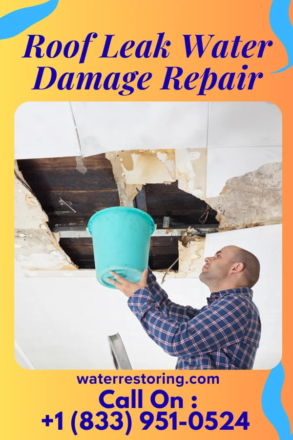 Roof Leak Water Damage Repair in Bogart, GA